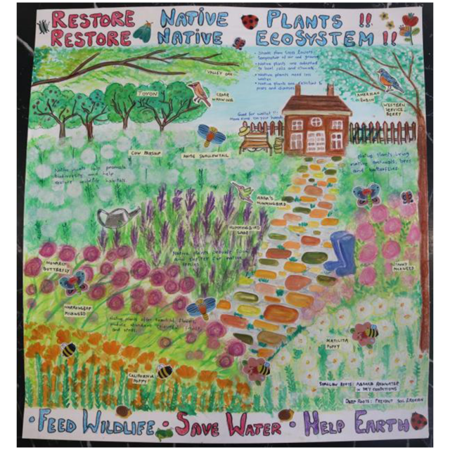 Restore Native Plants!! Restore Native Ecosystem!!