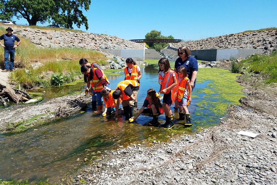 Children participating in watershed education at a creek