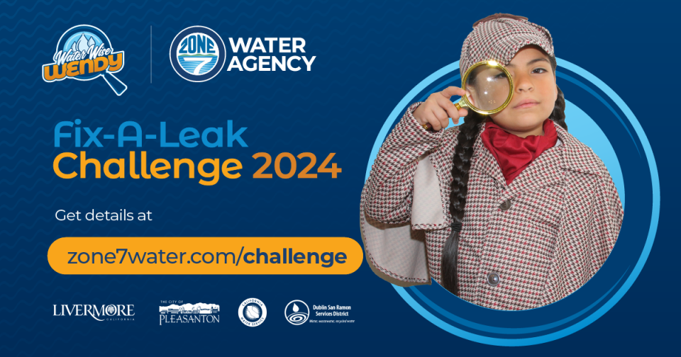 Fix A Leak Challenge 2024