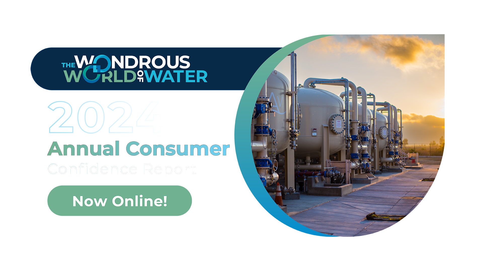 Consumer Confidence Report 2024