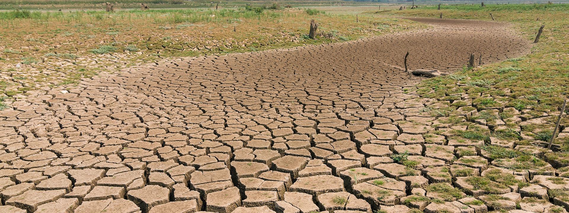 Empty field with brown cracked ground surrounded by dry grass