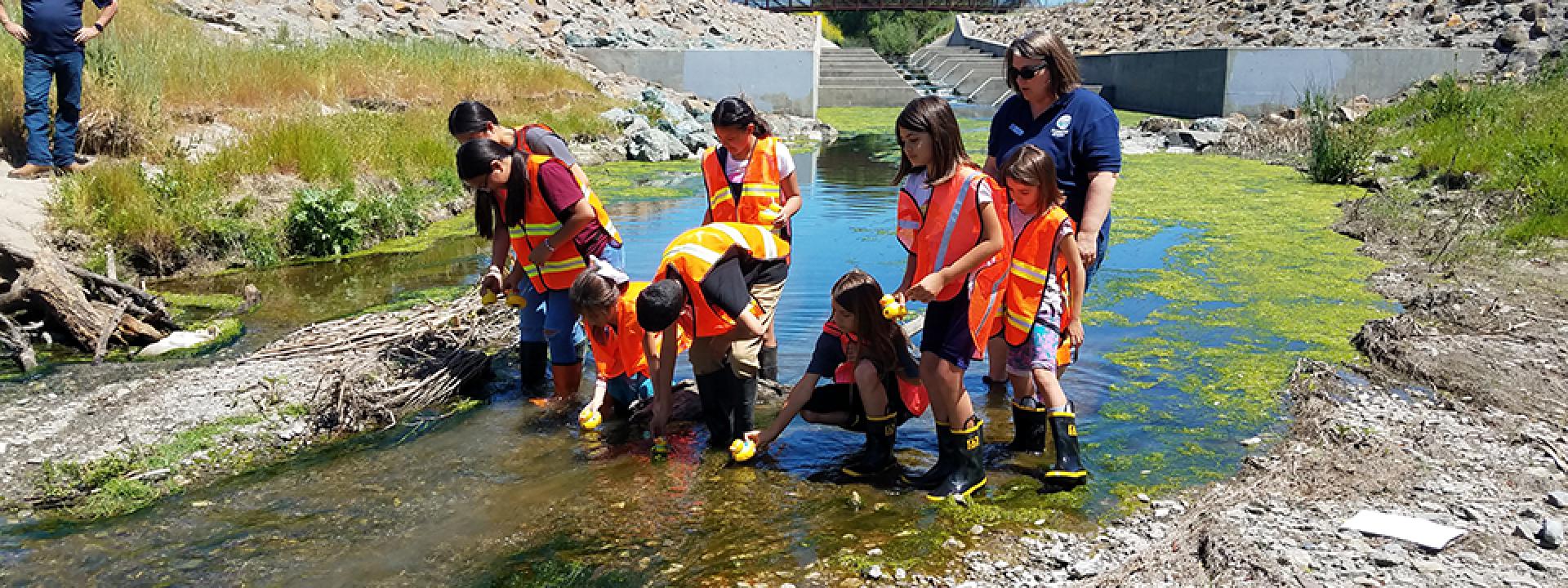 Children participating in watershed education at a creek