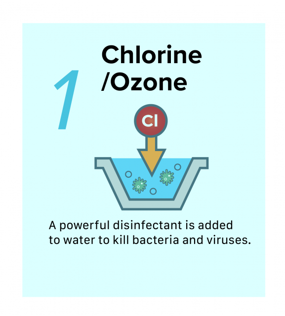 Infographic of first step of Disinfection of Surface water, Chlorine. A powerful disinfectant called chlorine is added to water to kill bacteria and viruses