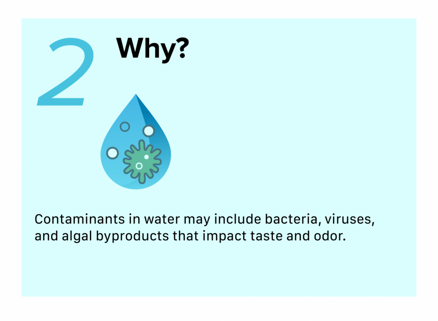 Infographic of reasoning behind ozonation. Contaminants in water may include bacteria, viruses, and algal byproducts that impact taste and odor