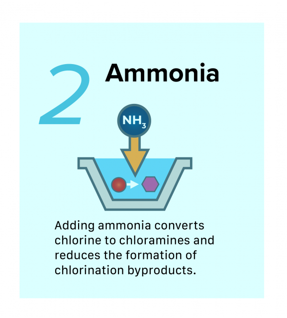 Infographic of second step of Disinfection of Surface water, Ammonia. Adding ammonia converts chlorine to chloramines and reduces the formation of chlorination byproducts
