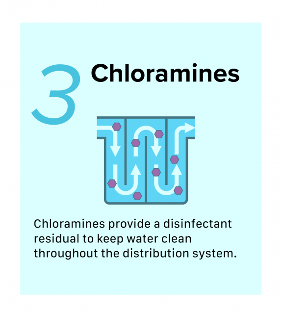 Infographic of third step of Disinfection of Surface water, Chloramines. Chloramines provide a disinfectant residual to keep water clean throughout the distribution system