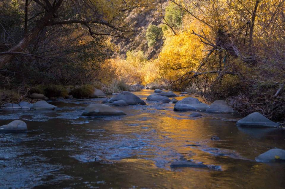 Alameda Creek flowing, with rocks in the creek, surrounded by trees with fall colors.