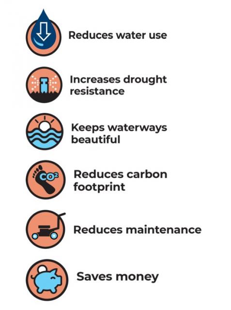 List of Benefits: Reduces water use, increases drought resistance, keeps waterways beautiful, reduces carbon footprint, reduces maintenance, saves money