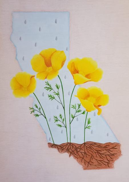 Photo #2: "California’s Pride: Golden Poppies” by Annapoorani Amarnath received the grand prize in the 2023 Livermore Water Conservation Art Contest. 