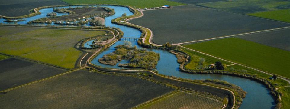 Aerial view of the Delta