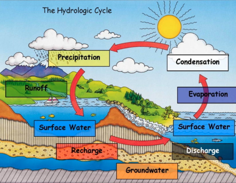 Hydrologic Cycle Activity Poster