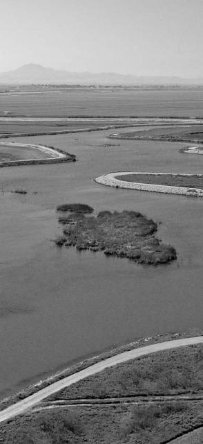 Aerial black and white image of the Sacramento - San Joaquin River Delta