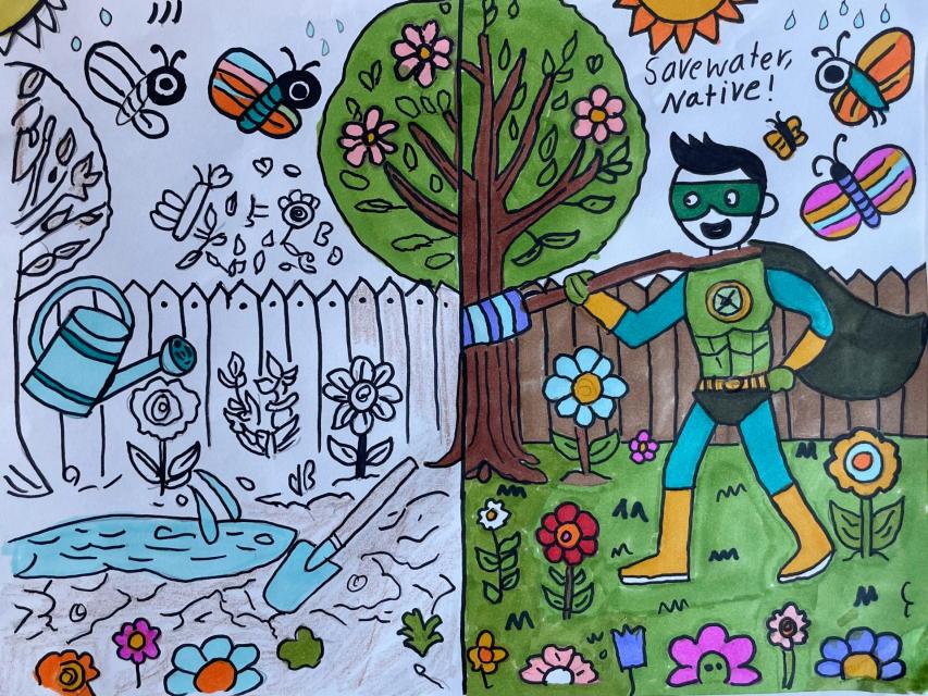 Habitat Heroes: Transforming Lawns into Native Garden