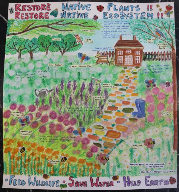 Restore Native Plants!! Restore Native Ecosystem!!