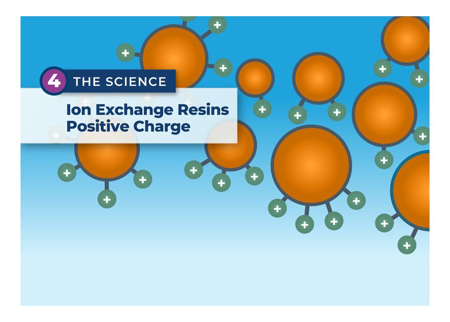 Infographic of the Ion Exchange  Science 