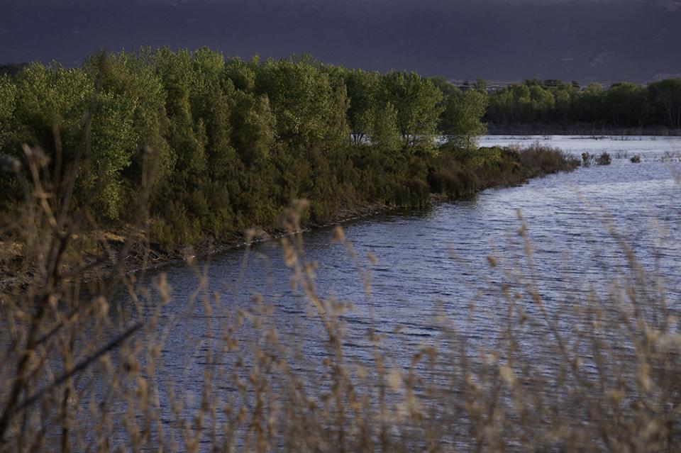 View of one of the lakes in Chain of lakes, with vegetation in the foreground and tree lined banks in the background