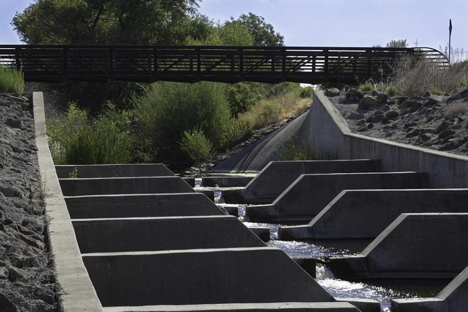 An angled view of a stepped fish ladder with water flowing downstream.
