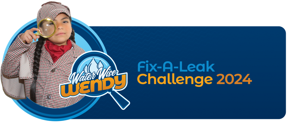 Fix-A-Leak Challenge 2024