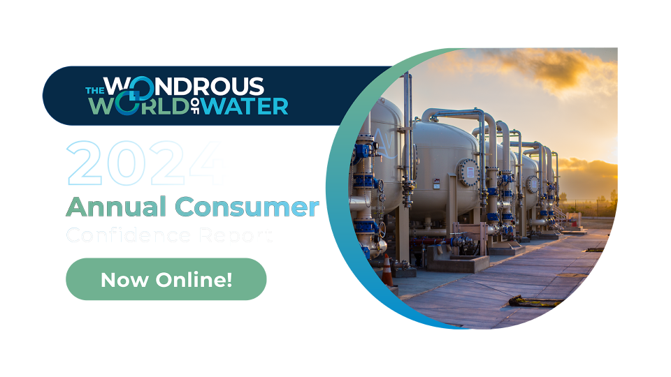 Consumer Confidence Report 2024