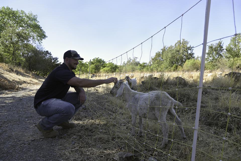 Zone 7 Employee wearing a hat crouched down petting a goat across a mesh fence