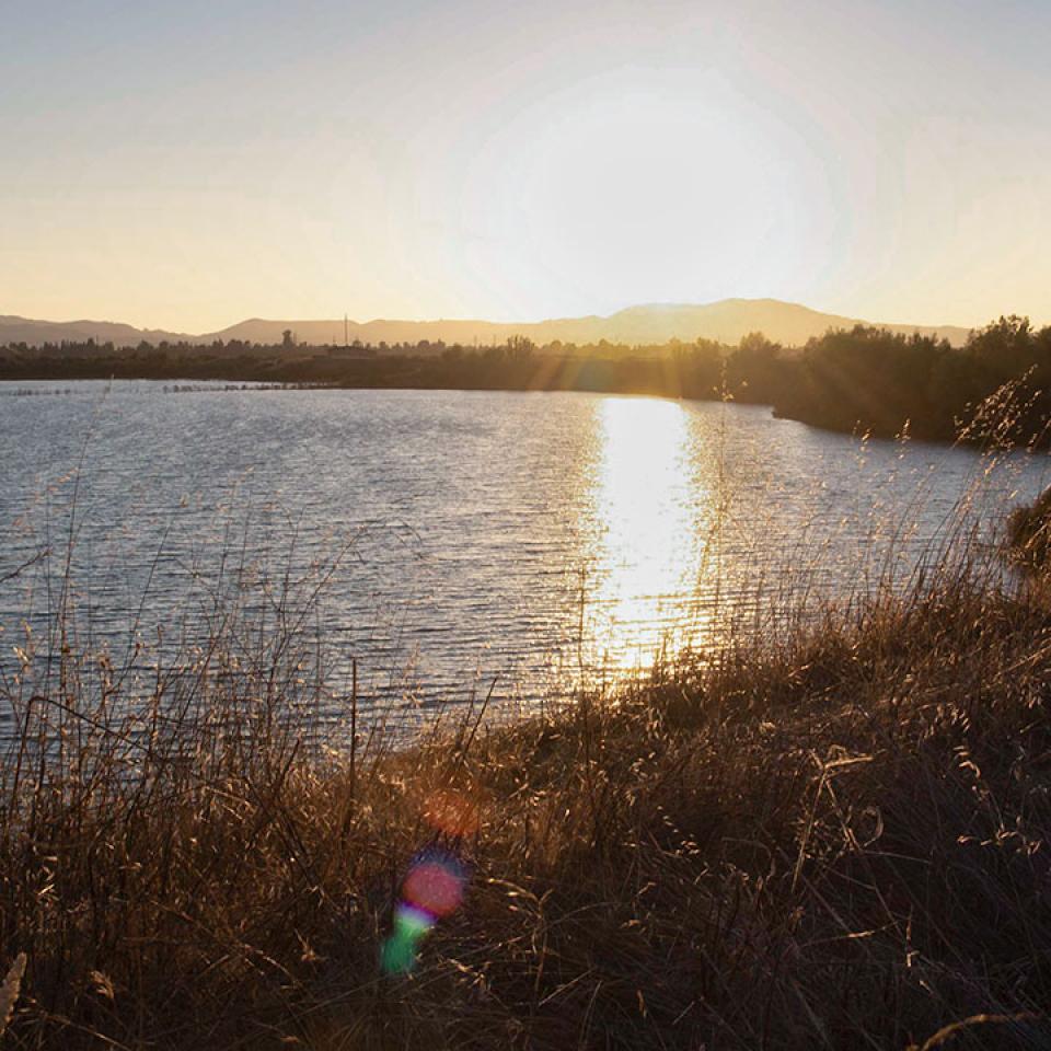 A blue lake surrounded by greenery and trees with a sunset reflected in the lake