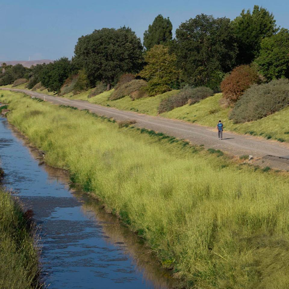 A blue stream alongside a trail in between two grassy banks