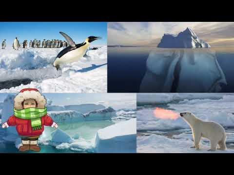 1. Welcome Video
