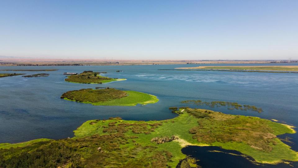 Aerial view of the Sacramento-San Joaquin Delta