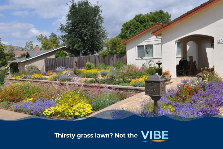 WATER-EFFICIENT LANDSCAPE CONVERSION REBATE