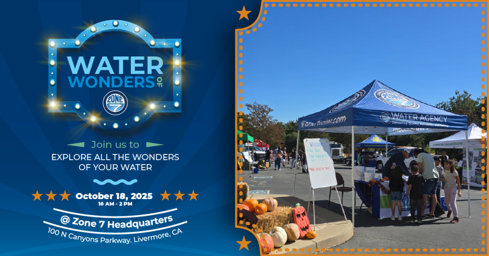 Water Wonders of Zone 7: A Celebration of All Things Water